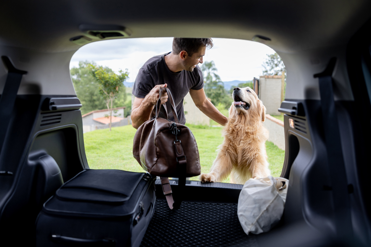 Best Cars for Dogs