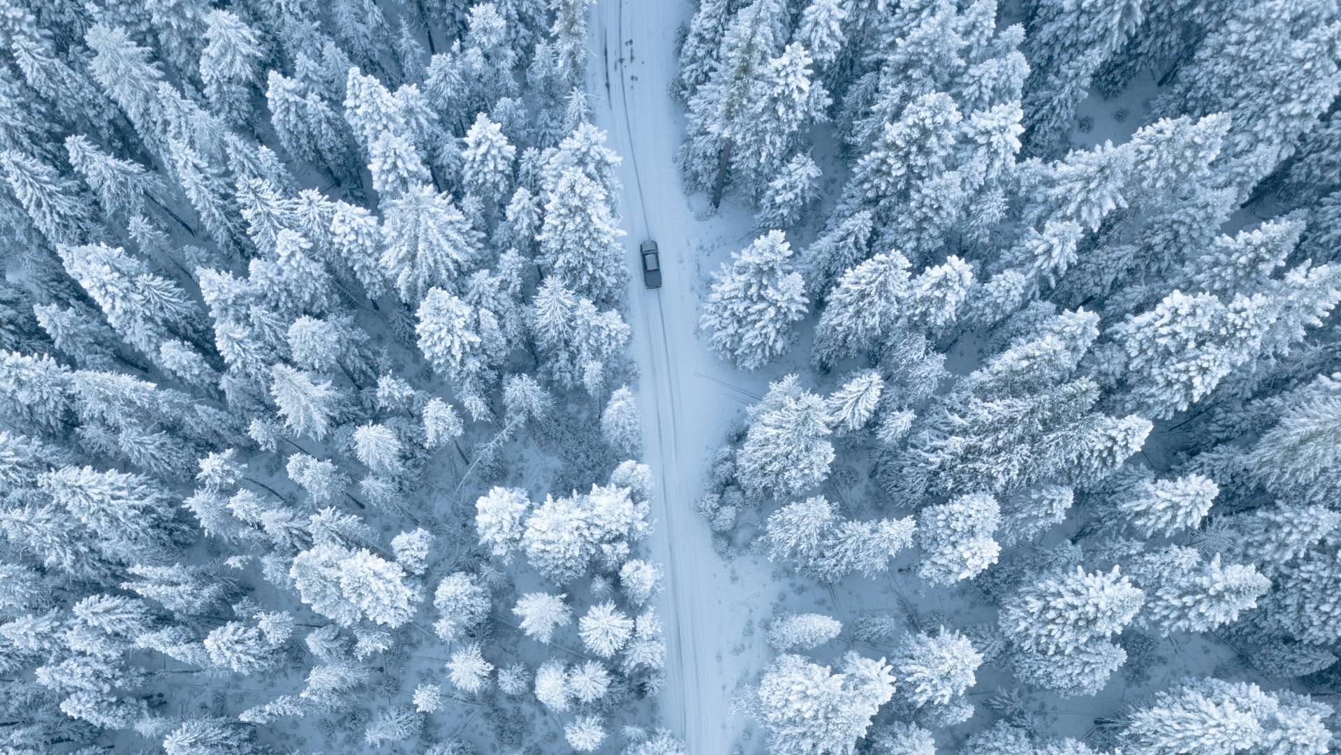 Winter Car Maintenance: Essential Checks for Safer Winter Driving 